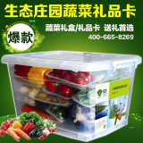 有机蔬菜礼盒 端午 A款 绿色无公害 新鲜 生鲜蔬菜 配送 套菜