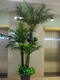 仿真椰子树大型室内外棕榈树美空商场仿真椰树假树舞台装饰假植物