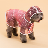 点点透明雨衣狗狗衣服宠物春夏带帽雨披泰迪小型犬中型犬春夏用品