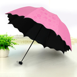 创意遇水开花伞晴雨伞折叠黑胶伞防紫外线太阳伞遮阳伞荷叶边