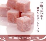 【现货】日本代购进口零食 神户FRANTZ魔法松露草莓生巧克力