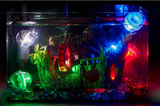 鱼缸水族箱LED灯水草灯七彩射灯变色红光红鱼