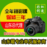 Nikon/尼康 D5500套机(18-55mm II) 尼康入门单反相机 新品 D5500