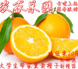 农家橙子 江西赣州赣南脐橙 特级果20斤包邮 新鲜水果生鲜
