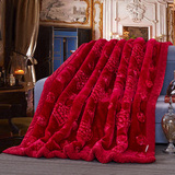 毛毯加厚双人盖毯拉舍尔秋冬季学生宿舍保暖大红结婚庆床单法兰绒