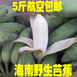 海南新鲜水果特产野生香蕉皇帝芭蕉米蕉蛋蕉 50元6斤航空包邮