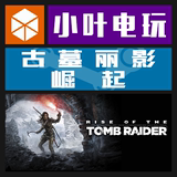 PC中文正版Steam Rise of the Tomb Raider 古墓丽影10:崛起 豪华