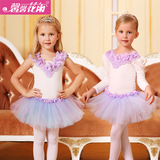 六一儿童演出服夏紫短袖儿童舞蹈服女童练功考级演出服芭蕾舞裙
