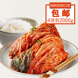 韩国风味辣白菜 朝鲜族泡菜 东北泡菜坛子 腌制 发酵美食 4袋装