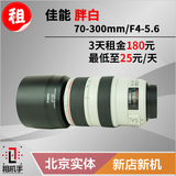 单反镜头出租 佳能Canon 70-300mm 胖白 租机手 摄影器材租赁