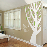 超大绿树墙贴 客厅走廊创意贴纸橱窗玻璃贴画办公室背景大型贴墙