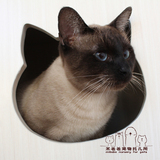 【米爸爸宠物托儿所】 北京 宠物猫咪 家庭式寄养专业托管 可接送