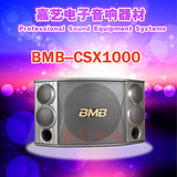 CSX1000 进口音箱/前置专业KTV音响/10寸卡包音箱发烧hifi