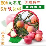 大连苹果红富士新鲜水果冰糖心 东北平果农家果园直销 80#5斤包邮