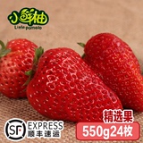 【小鲜柚】丹东99草莓九九红颜牛奶草莓新鲜特产水果1斤顺丰包邮