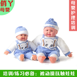 家政母婴护理培训教具 仿真婴儿填棉填充娃娃 被动操抚触教学模型