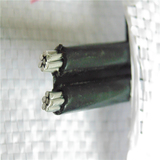 2×10平方铝线电线 零剪 室外防老化双芯铝电缆线 黑色进户线国标