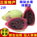 【三亚发货】海南野生仙人掌果 新鲜水果 仙桃 仙果 养身 2斤装