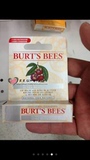 加拿大代购小蜜蜂Burts Bees藤黄果 男士女士儿童护唇膏保湿滋润