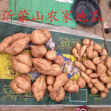 山东特产 沂蒙山农产品农家黄心地瓜红薯 新鲜蔬菜番薯自产批发