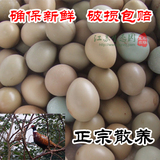 当日产新鲜山鸡蛋 野鸡蛋50枚包邮 七彩山鸡蛋 杂粮散养野鸡蛋