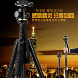 Sinno相机三脚架单反便携 铝合金轻便专业旅行摄影摄像三角架