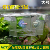 鱼缸幼鱼苗亚克力繁殖盒孔雀鱼孵化盒孵化箱小鱼隔离盒斗鱼盒大号
