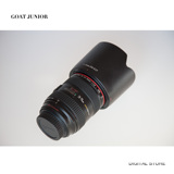 Canon/佳能EF 24-70mm f/2.8L USM红圈镜头24-70 2.8一代支持置换