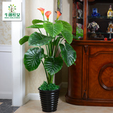 1.5米马蹄莲仿真花假花客厅落地室内套装饰花绿植物大型塑料盆栽