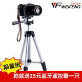 数码照相机微单反手机DV摄像机卡片机三角支架便携式自拍三脚架
