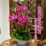 和家蝴蝶兰仿真花套装客厅绢花盆栽创意家居饰品装饰永生花吸甲醛