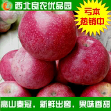 陕西礼泉丑秦冠苹果粉面香甜新鲜水果特价带皮吃的农家9斤批发