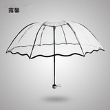 创意透明伞阿波罗折叠雨伞加厚拱形荷叶边晴雨伞广告伞女士遮阳伞