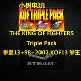 THE KING OF FIGHTERS Triple Pack 拳皇13+98+2002 KOF13 拳王