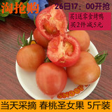 农家新鲜水果小番茄春桃圣女果应季孕妇水果西红柿有机蔬菜5斤装