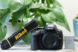 98新 二手Nikon/尼康 D5300 单机 机身 快门3100次 入门单反相机