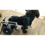 狗轮椅 残疾 瘫痪宠物代步车 后腿用狗轮椅 CF-01