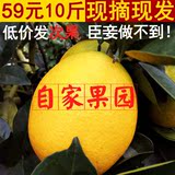 江西橙子农家赣南脐橙信丰脐橙新鲜水果孕妇纯天然寻乌冰糖橙10斤