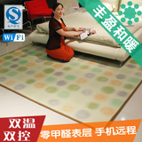 丰盈和暖碳晶电热地毯 韩国移动地暖垫 取暖地热垫 分期购250*200