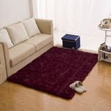 迪其尔客厅卧室茶几地毯客厅地毯现代简约可水洗加厚丝毛地毯地垫