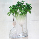 小靴子 玻璃花瓶 高12cm约440g 水培植物盆栽用 鞋子造型脚踏实地
