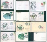 S9874罗马尼亚植物-树木5枚自制纪念封和3枚极限片销同题材纪念戳