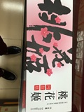 正宗山东阿胶厂出产的300克装桃花姬阿胶糕