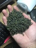 山东有机 茶叶日照绿茶2016年新茶散装雪青 春茶炒青500g正宗绿茶
