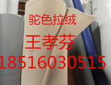 驼色拉绒地毯厂家直销 价格优惠 上海现货蓝色拉绒加厚地毯