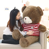 熊熊毛绒玩具Teddy Bear/泰迪熊生日礼物2岁抱枕女毛绒布艺类玩具