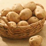 新鲜土豆马铃薯 农家自种蔬菜 非转基因 有机洋芋500g
