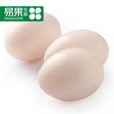 【易果生鲜】苏北鸽子蛋10枚 新鲜鸽子蛋 农家散养