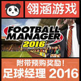Steam PC正版 FootballManager 2016 足球经理2016 FM2016 礼物