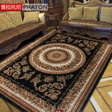 普拉托尼 欧式奢华地毯 客厅茶几卧室地毯 高密有质感 柔软舒适